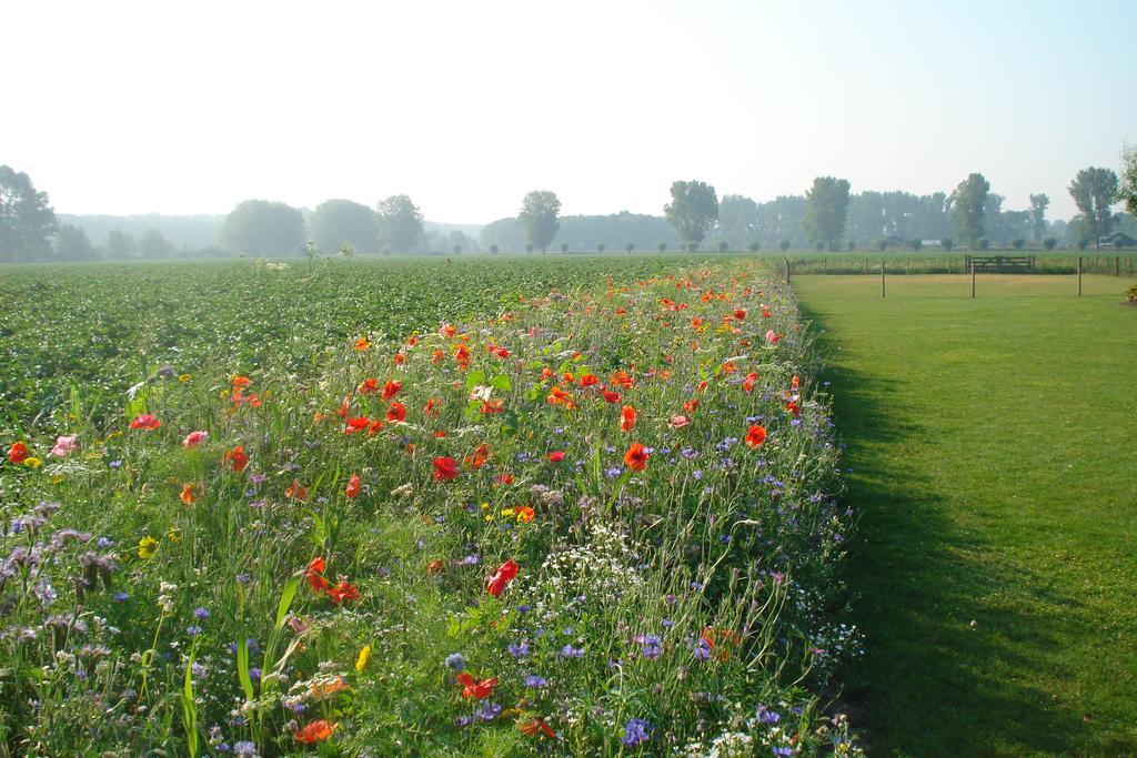 Lodgerie Het Groene Geheim Almere Eksteriør bilde