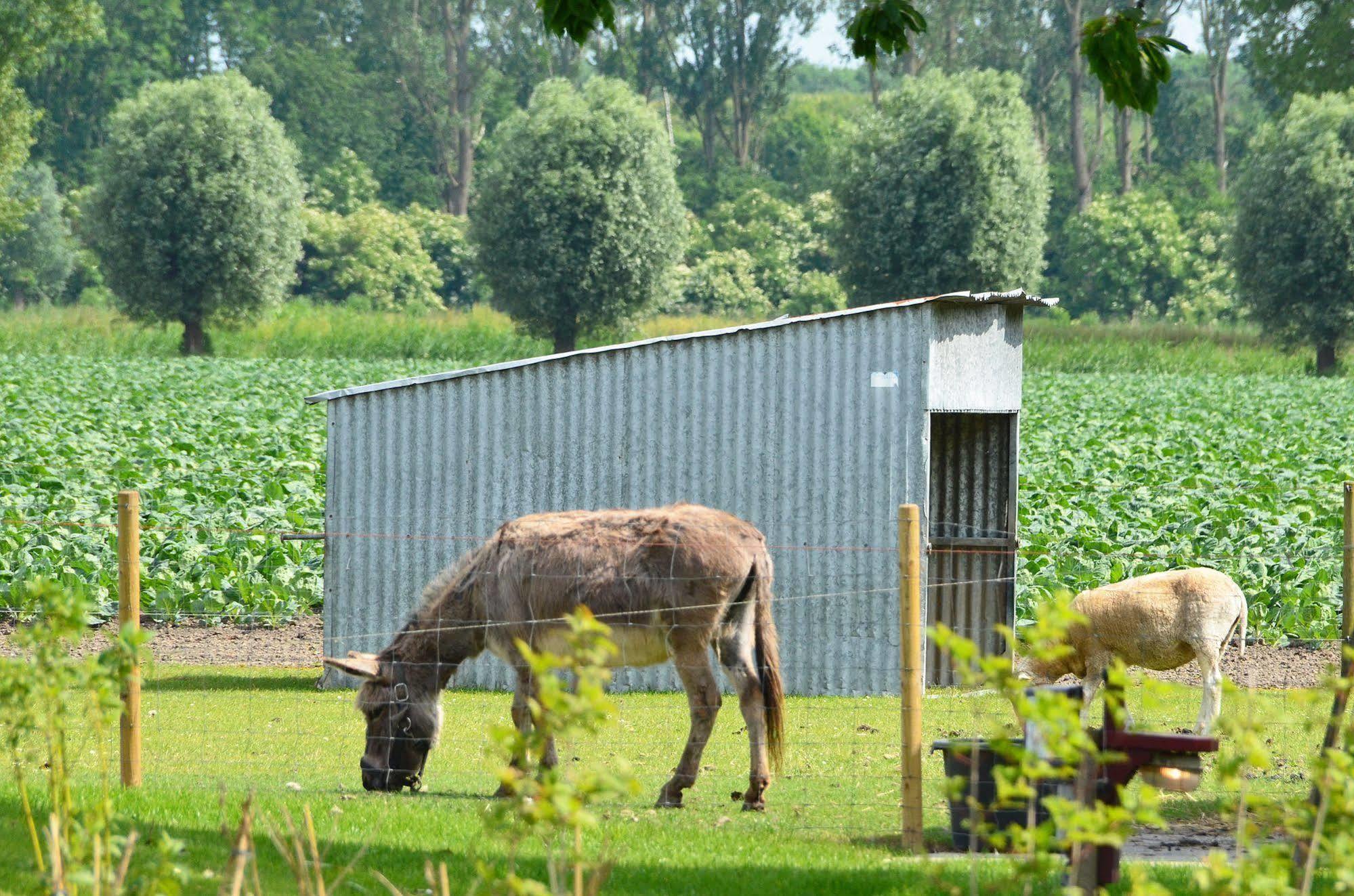 Lodgerie Het Groene Geheim Almere Eksteriør bilde